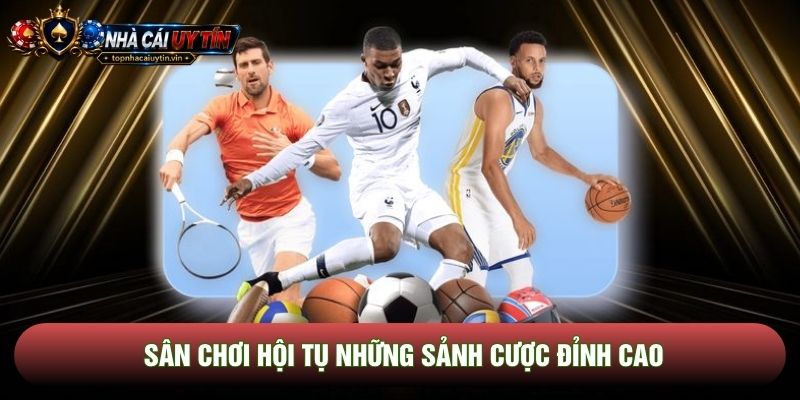 Sân chơi hội tụ những sảnh cược đỉnh cao