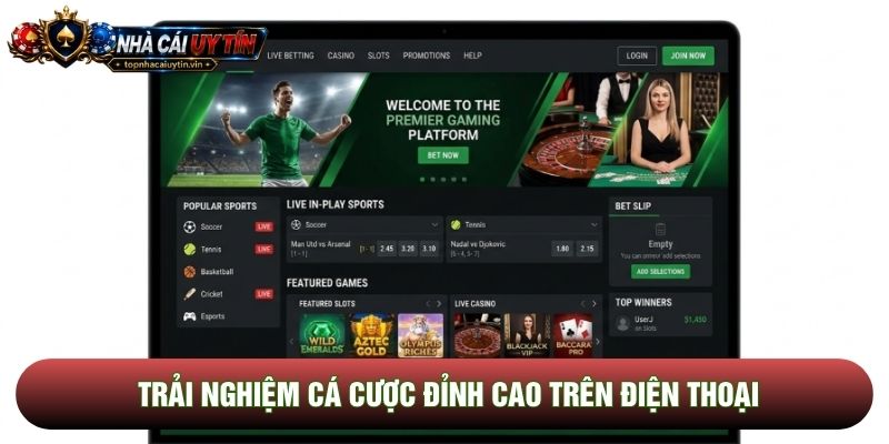 Trải nghiệm cá cược đỉnh cao trên điện thoại