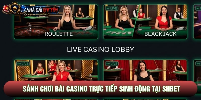 Sảnh chơi bài casino trực tiếp sinh động tại Shbet